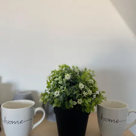 Apartmán Feel Like 7 *